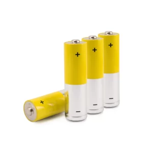 Fizimac AA Alkaline Batteries (Pack of 10)